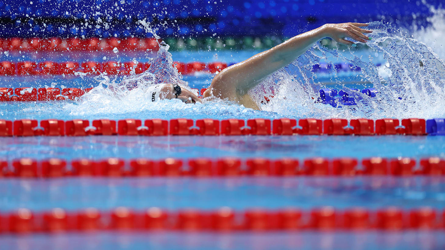 Africa's Biggest Swimming Championship Opens Today in Oran, Algeria 2026