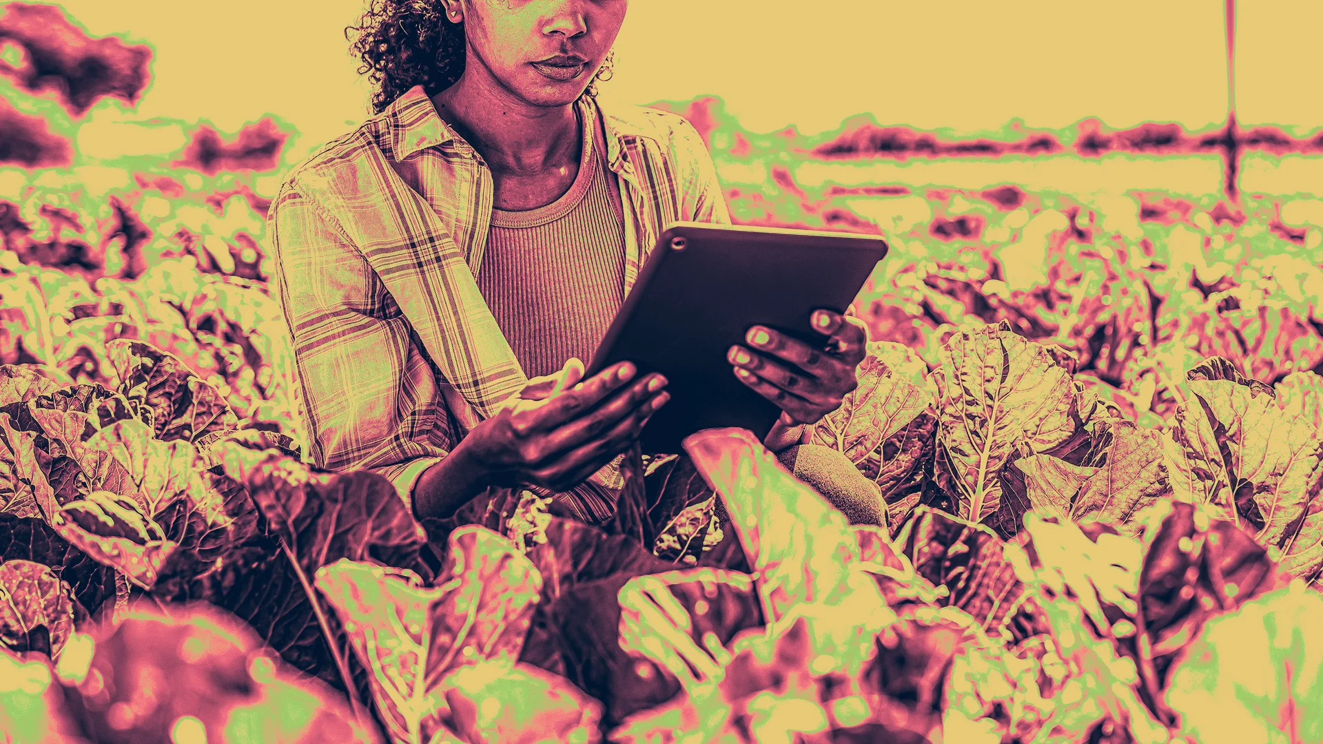 This Nairobi startup brings agriculture data to African farmers - Fast Company