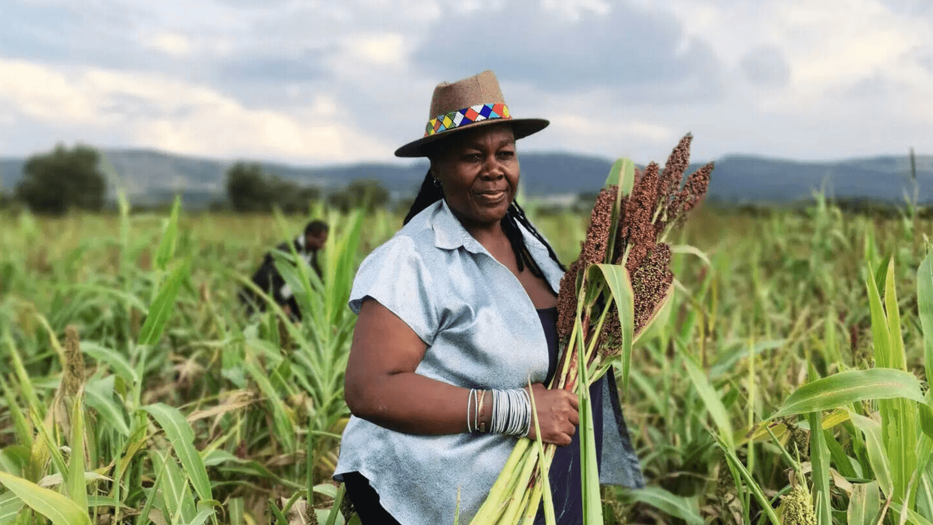 Meet the storytellers redefining African cuisine | Dineplan Blog