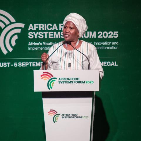 AGRA Unveils 2025 Africa Food Systems Report at Dakar Forum
