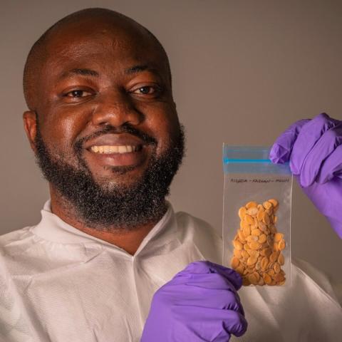 Nigerian Scientist Sends Egusi Seeds to Space in Historic African First